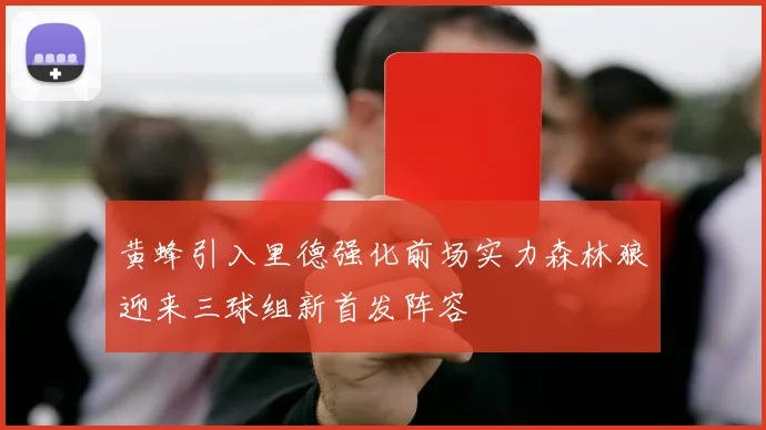 黄蜂引入里德强化前场实力森林狼迎来三球组新首发阵容